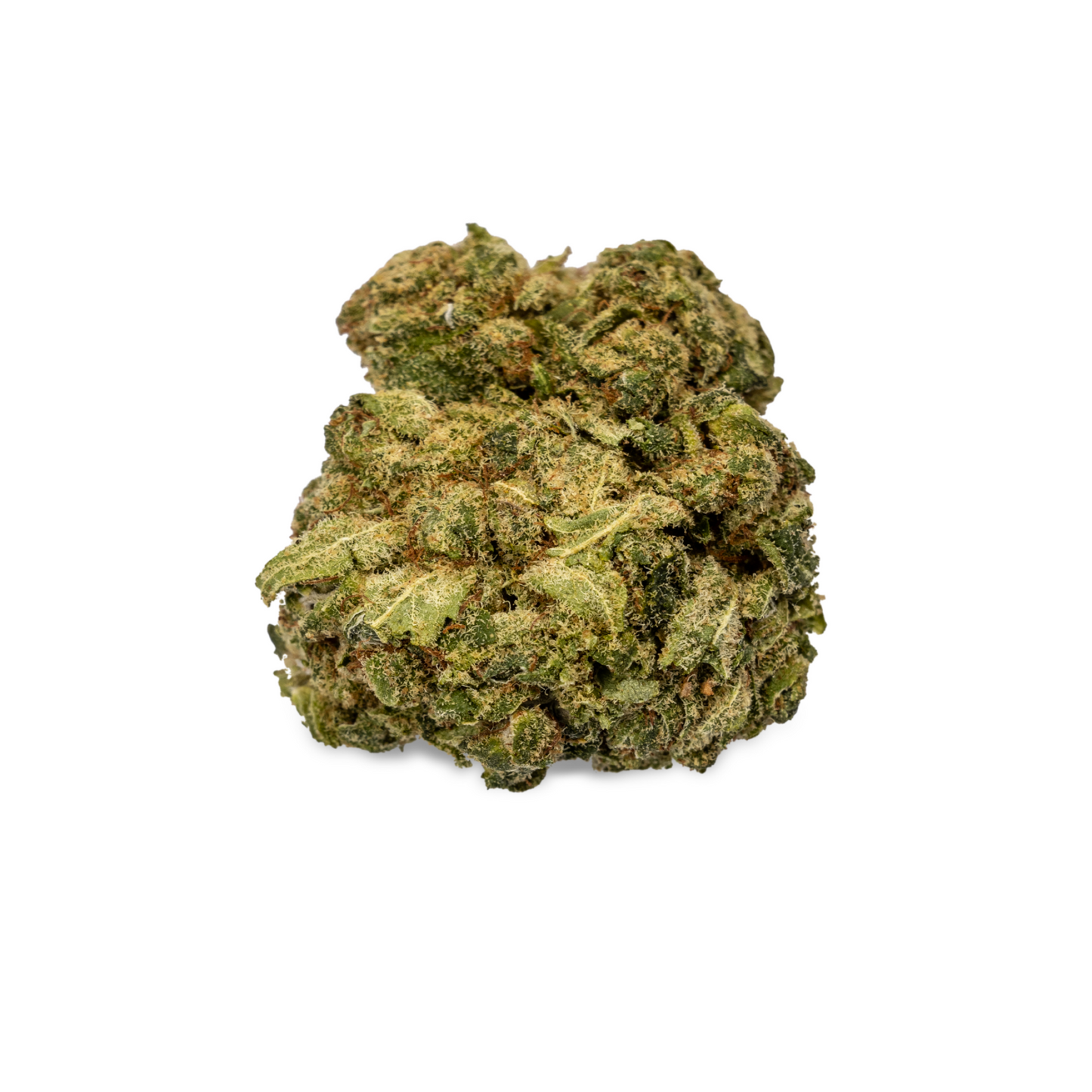 Orange Cookies