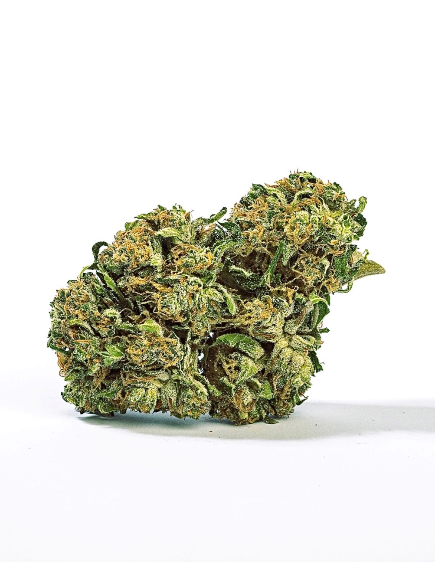 HHZ Gorilla Glue