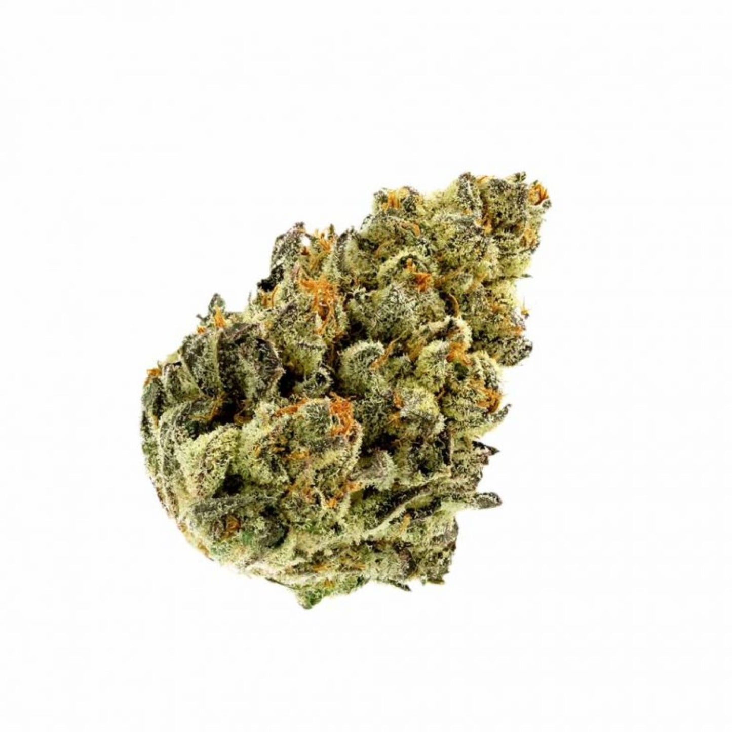 Gorilla Glue