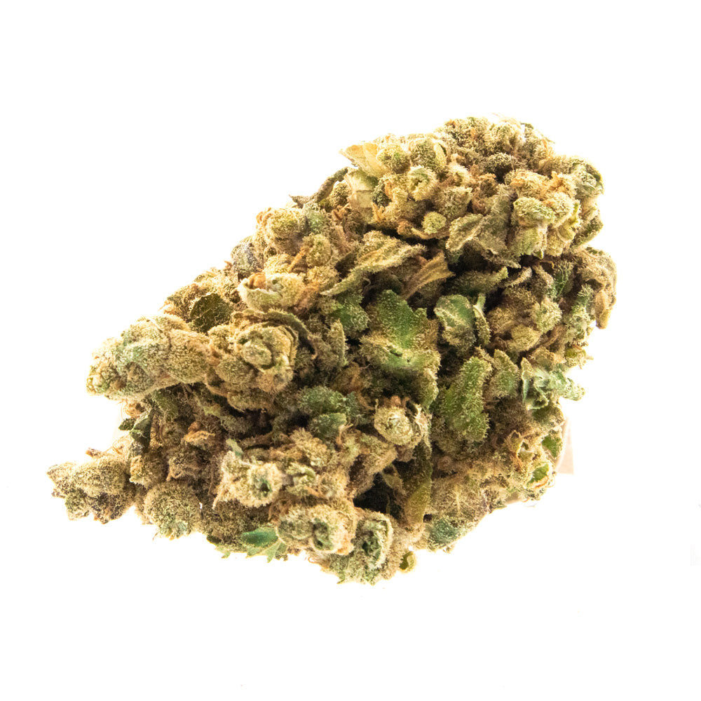 Chocolope